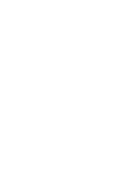 Raiden Logo
